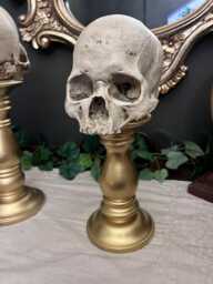 Skull Mounted Gold Pedestal Gothic Dark Academia Decor - thumbnail 1