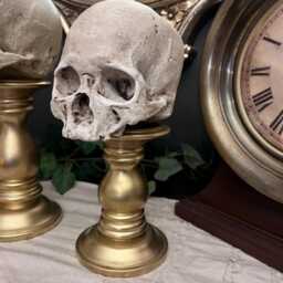 Skull Mounted Gold Pedestal Gothic Dark Academia Decor - thumbnail 3