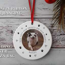 Personalized Pet Photo Memorial Ornament Custom Dog Cat Loss Gift - thumbnail 3