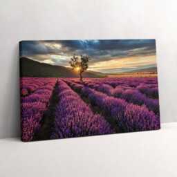 Lavender Field Landscape Canvas, Picture Wall Hanging, Purple Decor, Landscape Canvas Print - thumbnail 2