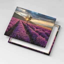 Lavender Field Landscape Canvas, Picture Wall Hanging, Purple Decor, Landscape Canvas Print - thumbnail 3
