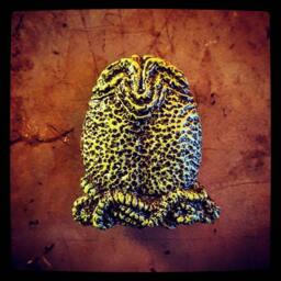 Perfect Organism Wall Plaque - thumbnail 2