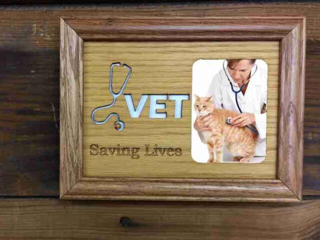 5x7 Vet Picture Frame, Veterinarian Gift, Occupation Custom Laser Engraved Holds 3x4 - image 1