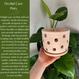 Medium Ceramic Orchid Pot With Holes & Souser - thumbnail 4