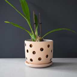 Medium Ceramic Orchid Pot With Holes & Souser - thumbnail 1