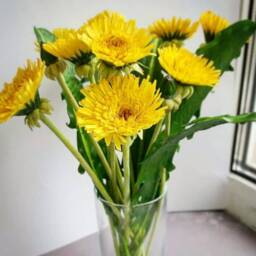 Handmade Porcelain Dandelion Bouquet Yellow Floral Arrangement - thumbnail 1