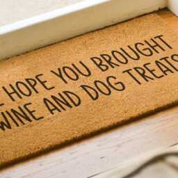 We Hope You Brought Wine & Dog Treats Doormat - Coconut Coir Welcome Mat Funny Door Lover Gift Home Decor - thumbnail 2