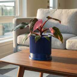 Modern Ribbed Indoor Pots For Plants With Drainage & Saucer, Minimal Wave Planter, Shelf Decor, Tabletop Host Gift, Housewarming Present