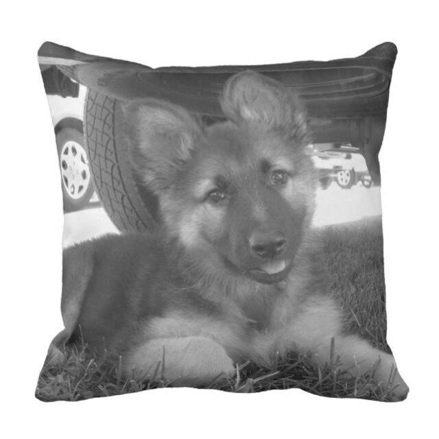 German Shepherd Puppy Pillow, Dog Throw Alsatian Photo Pillow Case, Cute Pillowcase, Nursery Decor, 16x16 Pillow - image 1