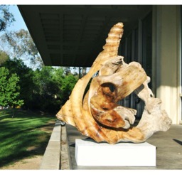 "Wood Sculpture Abstract ""Natural Law" - thumbnail 4