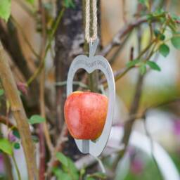 Personalised Apple Shape Metal Bird Feeder - thumbnail 3