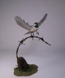 Open-Winged Black-Capped Chickadee - thumbnail 1