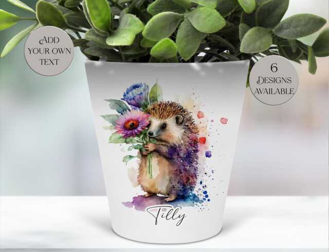 Personalised Watercolour Hedgehog Plant Pot - Pen/Makeup Brush Organiser With Custom Name - image 1