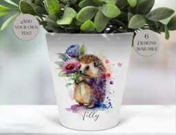 Personalised Watercolour Hedgehog Plant Pot - Pen/Makeup Brush Organiser With Custom Name - thumbnail 1