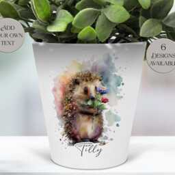 Personalised Watercolour Hedgehog Plant Pot - Pen/Makeup Brush Organiser With Custom Name - thumbnail 3
