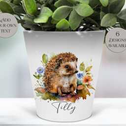 Personalised Watercolour Hedgehog Plant Pot - Pen/Makeup Brush Organiser With Custom Name - thumbnail 2