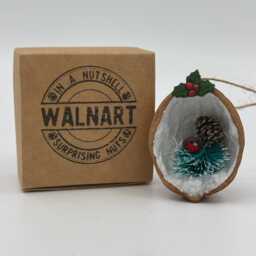 Robin in A Nutshell, Handmade Walnut Shell Christmas Decoration - thumbnail 3