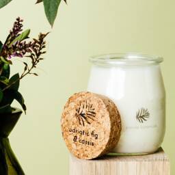 Eco Soy Wax Candle Gift Set Adriatic Fig & Cassis Scent