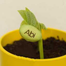 Personalised Name Bean Seeds , Magic Beans, Birthday Gift, Personalised Plant Garden Vegetable Grow Set, Named Plant, Christmas - thumbnail 4