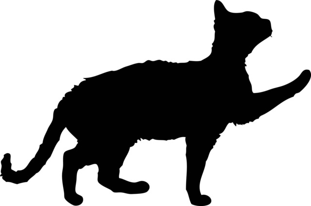 Cat Pet Car Decal Window Printable Wall Art