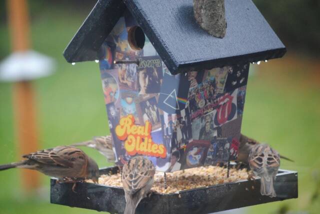 Real Oldies Bird Feeder - image 1