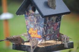 Real Oldies Bird Feeder - thumbnail 1