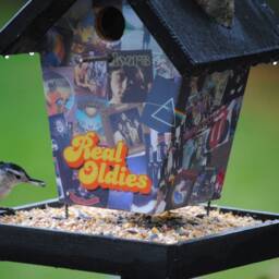Real Oldies Bird Feeder - thumbnail 2