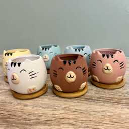 Cute Animal Succulent Planters With Bamboo Coaster/Small Desktop Plant Pot Indoor Office Home Decoration Gift Idea New - thumbnail 3