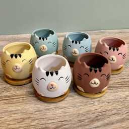 Cute Animal Succulent Planters With Bamboo Coaster/Small Desktop Plant Pot Indoor Office Home Decoration Gift Idea New - thumbnail 2