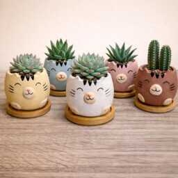 Cute Animal Succulent Planters With Bamboo Coaster/Small Desktop Plant Pot Indoor Office Home Decoration Gift Idea New - thumbnail 1