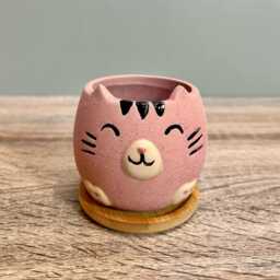 Cute Animal Succulent Planters With Bamboo Coaster/Small Desktop Plant Pot Indoor Office Home Decoration Gift Idea New - thumbnail 4