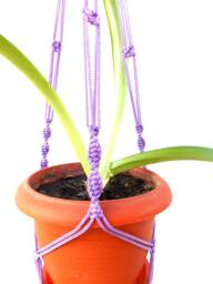Purple Plant Hanger - Macrame 28 Inches 3mm Indoor Outdoor Hanging Planter Macrame Plant Holder Wall Hanging Patterns - thumbnail 1
