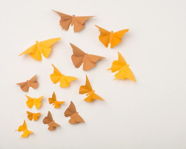 3D Wall Butterflies Butterfly Art For Nursery, Girl's Room, Classroom Or Home Decor in Yellow, Orange & Brown - image 1
