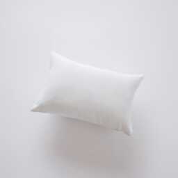10x16 Or 16x10 - Indoor Outdoor Hypoallergenic Polyester Pillow Insert Quality Throw Inserts Form - thumbnail 2