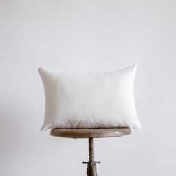 10x16 Or 16x10 - Indoor Outdoor Hypoallergenic Polyester Pillow Insert Quality Throw Inserts Form - thumbnail 3