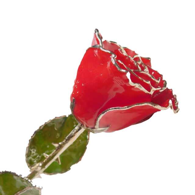 Personalized Forever Rose - Red With Silver Trim Hand Made From A Real Rose - image 1