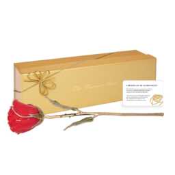 Personalized Forever Rose - Red With Silver Trim Hand Made From A Real Rose - thumbnail 3