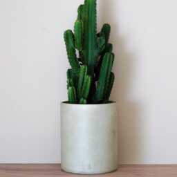 Kaki Concrete Planter - Elegant & Durable - Ideal For Indoor Outdoor Use - thumbnail 2