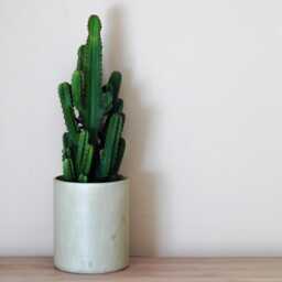 Kaki Concrete Planter - Elegant & Durable - Ideal For Indoor Outdoor Use - thumbnail 1