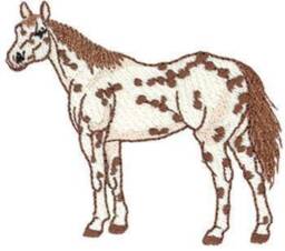 Pillow Case, Horse, Horse And - thumbnail 3