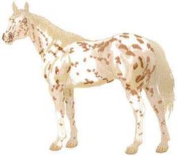 Pillow Case, Horse, Horse And - thumbnail 2