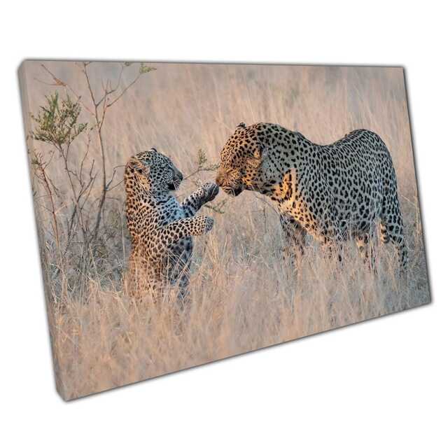 Leopard & Cub Nature Photography Canvas Wall Art For Home Office Decor - image 1