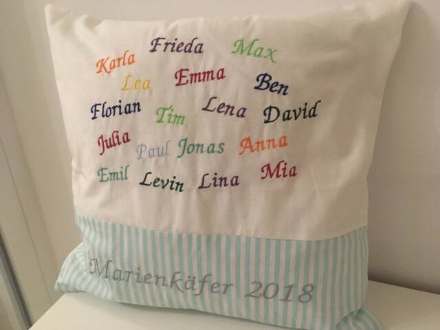 Farewell Pillow Commemorative 40 X cm Gift For Teacher, Educator Or Work Colleague - image 1