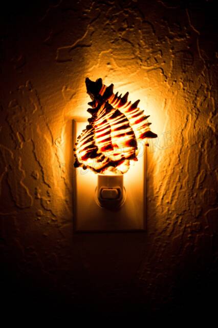 Nessastores - Black Murex Sea Shell Nightlight Kitchen Bathroom Beach Home Decor Craft - 1 Pc #jc-033 - image 1