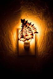 Nessastores - Black Murex Sea Shell Nightlight Kitchen Bathroom Beach Home Decor Craft - 1 Pc #jc-033 - thumbnail 1