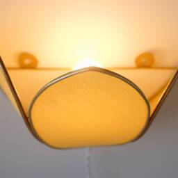 Banana Flower & Gold Wall Light - thumbnail 4