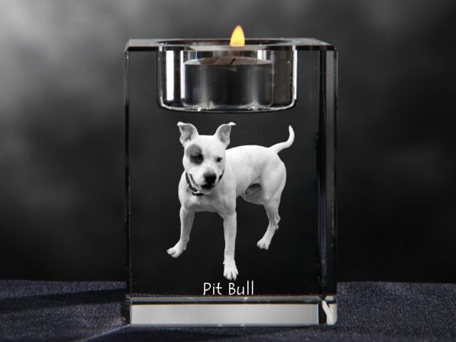 American Pit Bull Terrier, Crystal Candlestick With Dog, Souvenir, Decoration, Limited Edition, Collection - image 1
