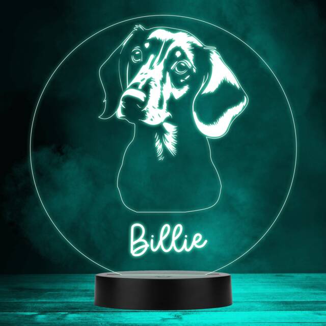 Dachshund Dog Pet Silhouette Multicolour Personalised Gift Led Lamp Night Light - Bedroom - image 1