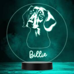 Dachshund Dog Pet Silhouette Multicolour Personalised Gift Led Lamp Night Light - Bedroom