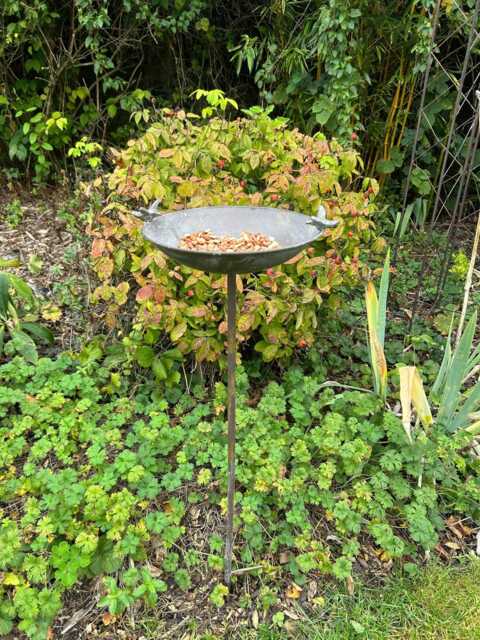 Antique Grey Bird Bath Feeder Garden Giftware Decor Decoration - image 1